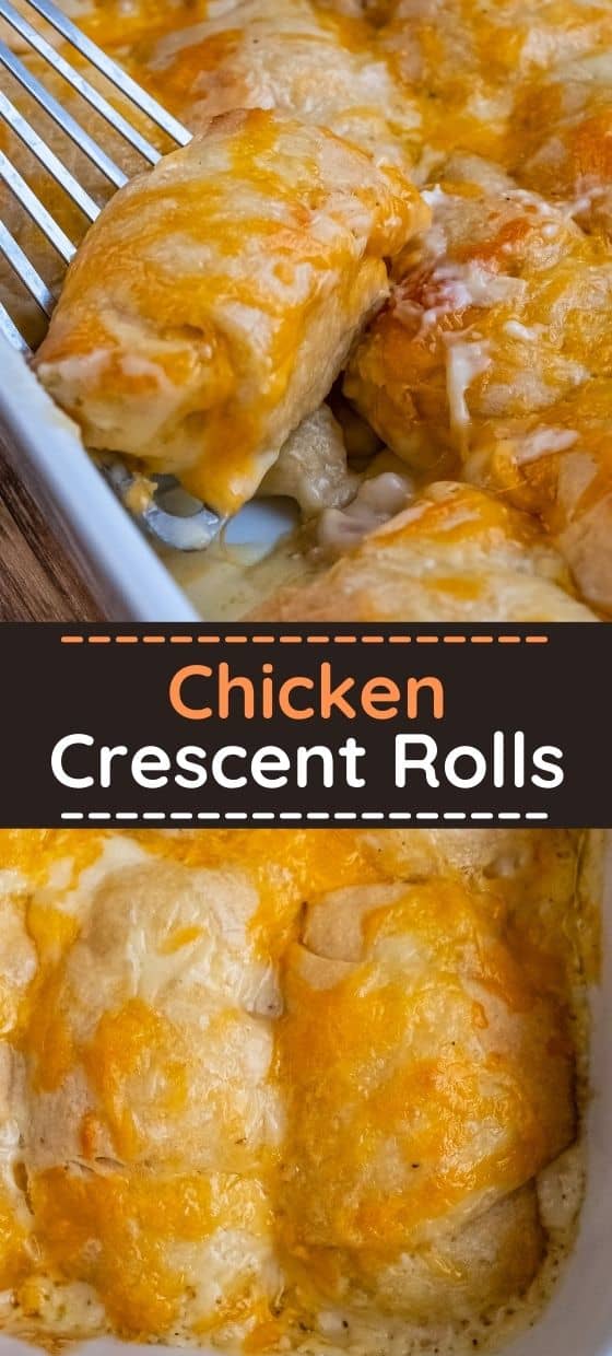 Chicken Crescent Rolls - Top Recipes