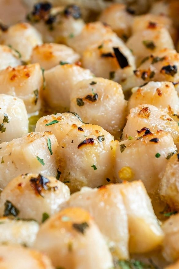 Broiled Bay Scallops Top Recipes