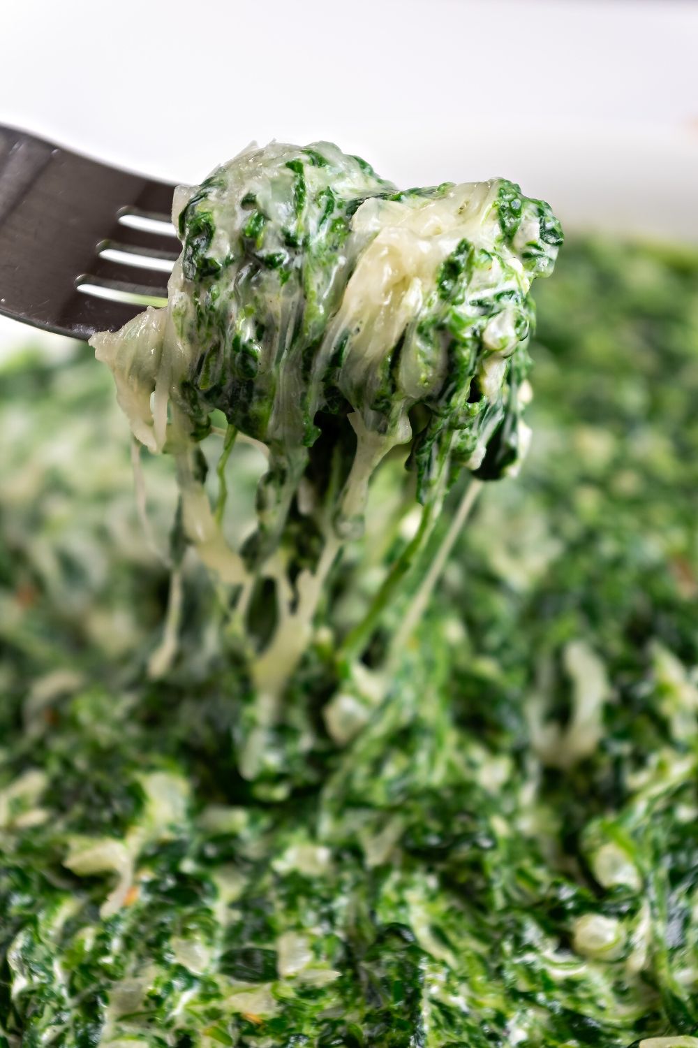 Best Creamed Spinach Recipe Top Recipes   Best Creamed Spinach Recipe1 