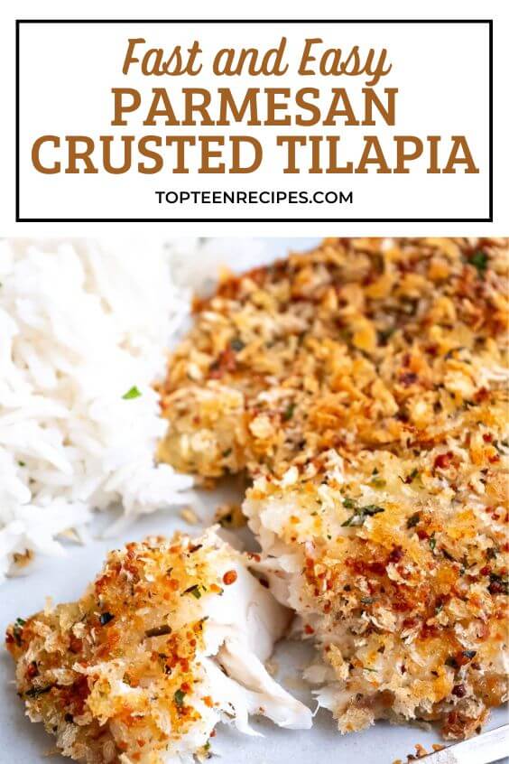 Fast and Easy Parmesan Crusted Tilapia Top Recipes