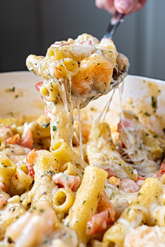 Shrimp Alfredo Bake Recipe