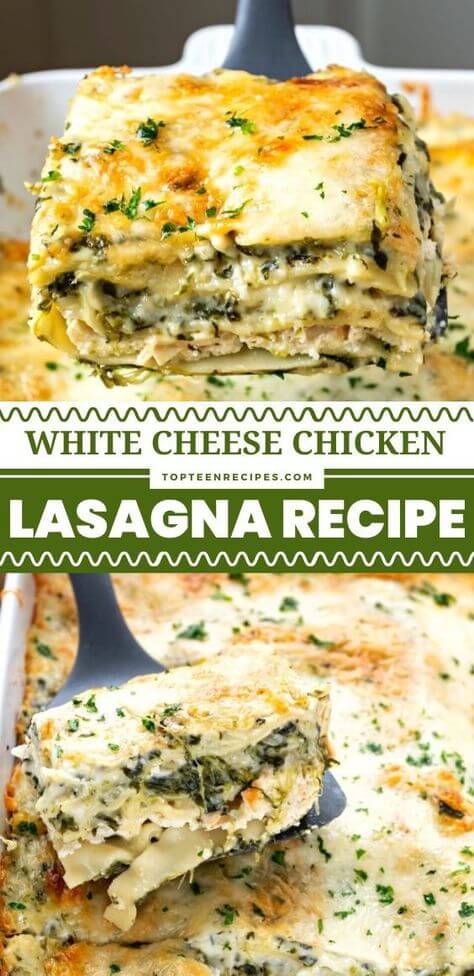 White Cheese Chicken Lasagna Recipe - Top Recipes