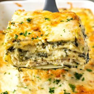 White Cheese Chicken Lasagna Recipe