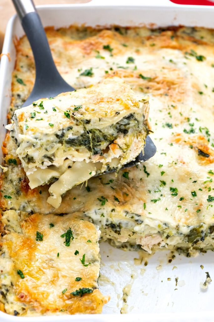 White Cheese Chicken Lasagna Recipe