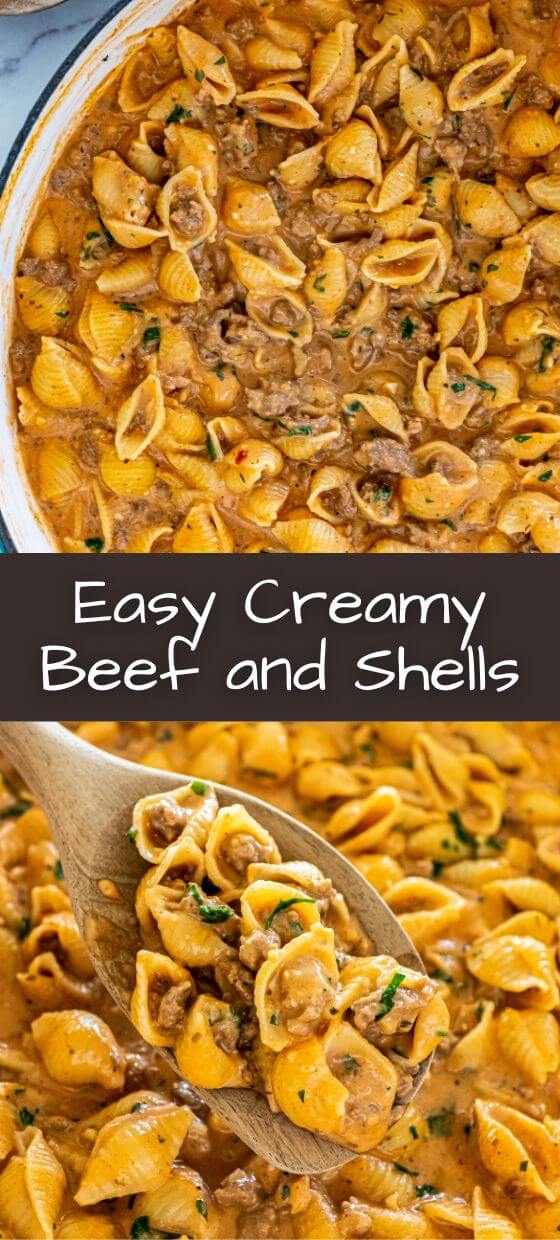Easy Creamy Beef and Shells - Top Recipes